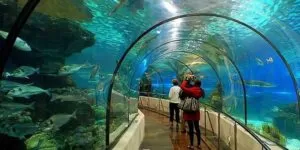 Antalya Aquarium Trip 9 |