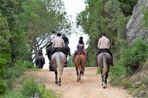 Horse riding holiday excursion |
