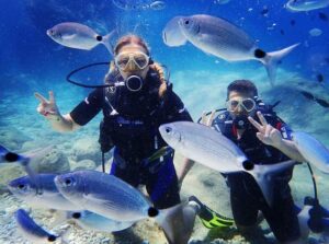 alanya diving tour |