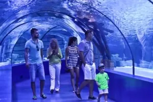 antalya akvaryum |