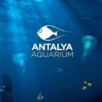 akwarium w Antalyi