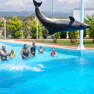 pokaz delfinów w Alanyi