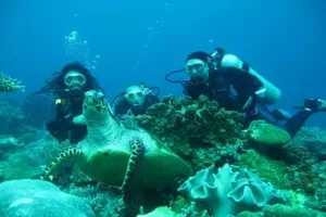 holiday excursion alanya |