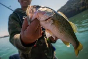Vis tocht | Alanya fishing tour 1 Holiday Excursion Alanya fishing tour 1 |