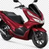 SCOOTER HONDA PCX 125 CC