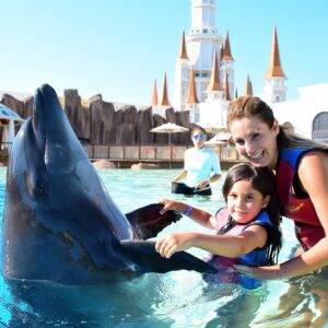 The land of legends dolphin show |