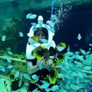 theme park efsane olacak ek fotograflar |
