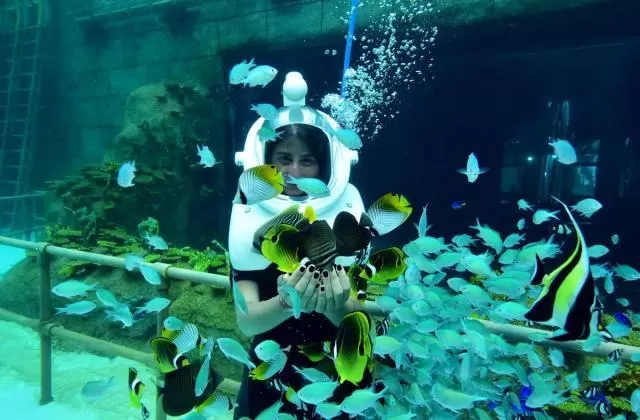theme park efsane olacak ek fotograflar |